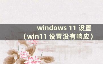 windows 11 设置（win11 设置没有响应）